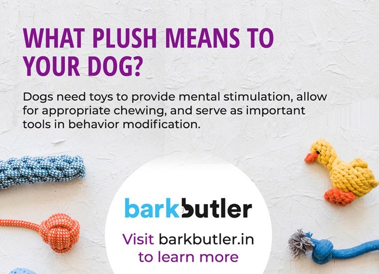 Best Website Developer in kolkata