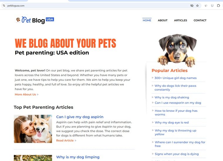 Website Developer Kolkata