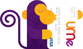 Visa Card